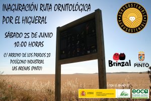 Inaguración ruta ornitológica en Pinto