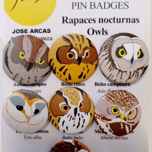 Imagen Pack de Chapitas de búhos