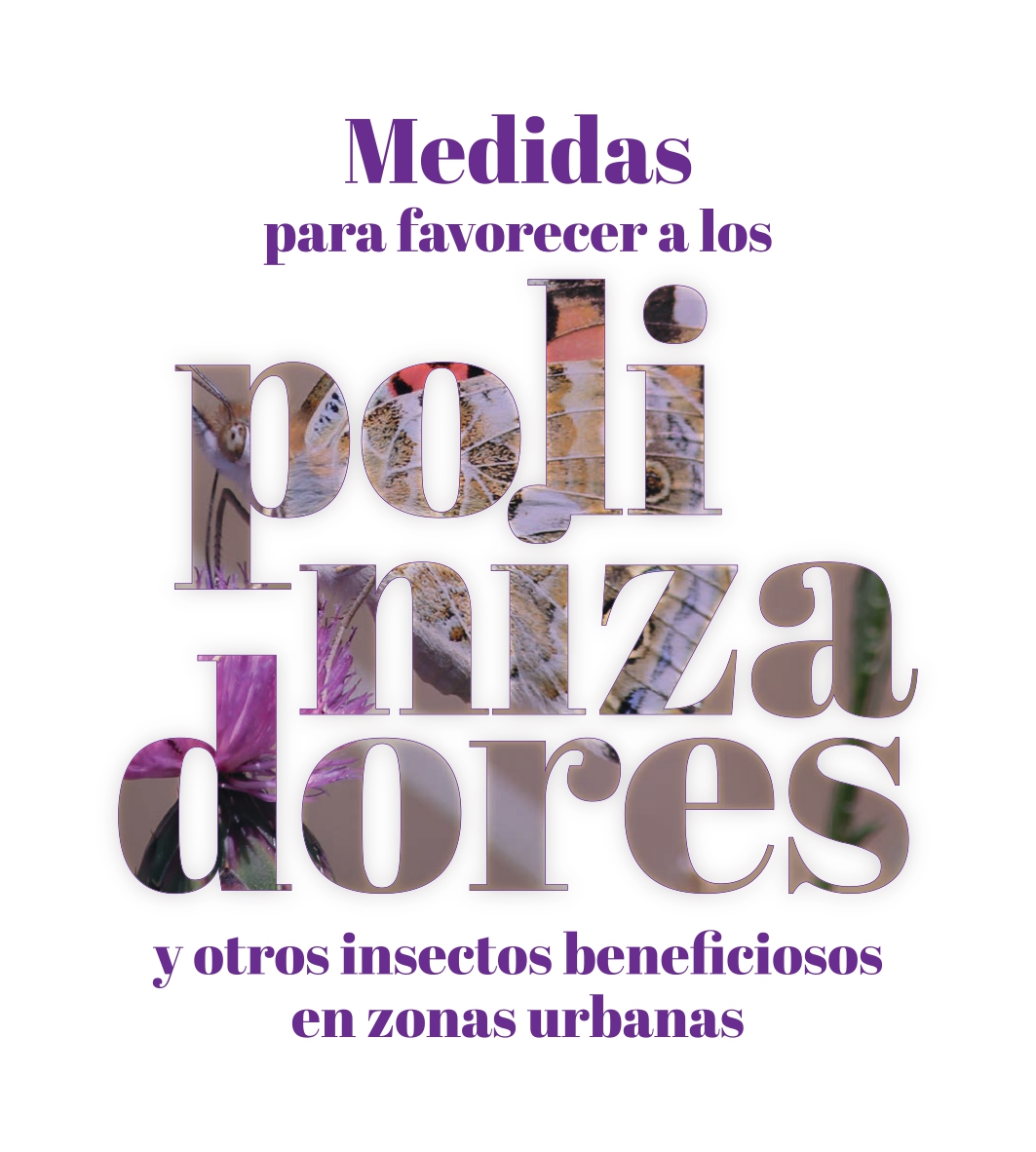 Imagen Manual Medidas Fomento Polinizadores en zonas urbanas