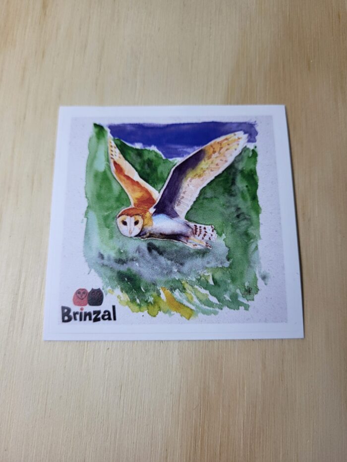 Imagen pegatinas de Brinzal2