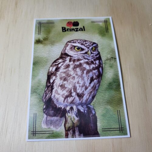 Imagen pegatinas de Brinzal1