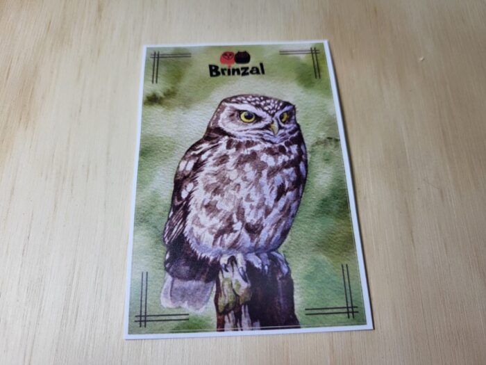 Imagen pegatinas de Brinzal1