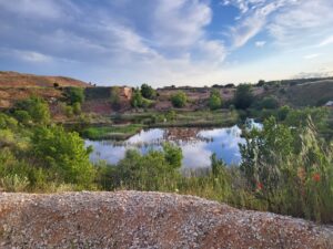 Feliz Día Mundial del Medio Ambiente 2024