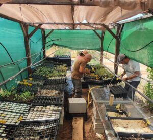 Imagen Finaliza el Proyecto Restauración de Vegetación 2