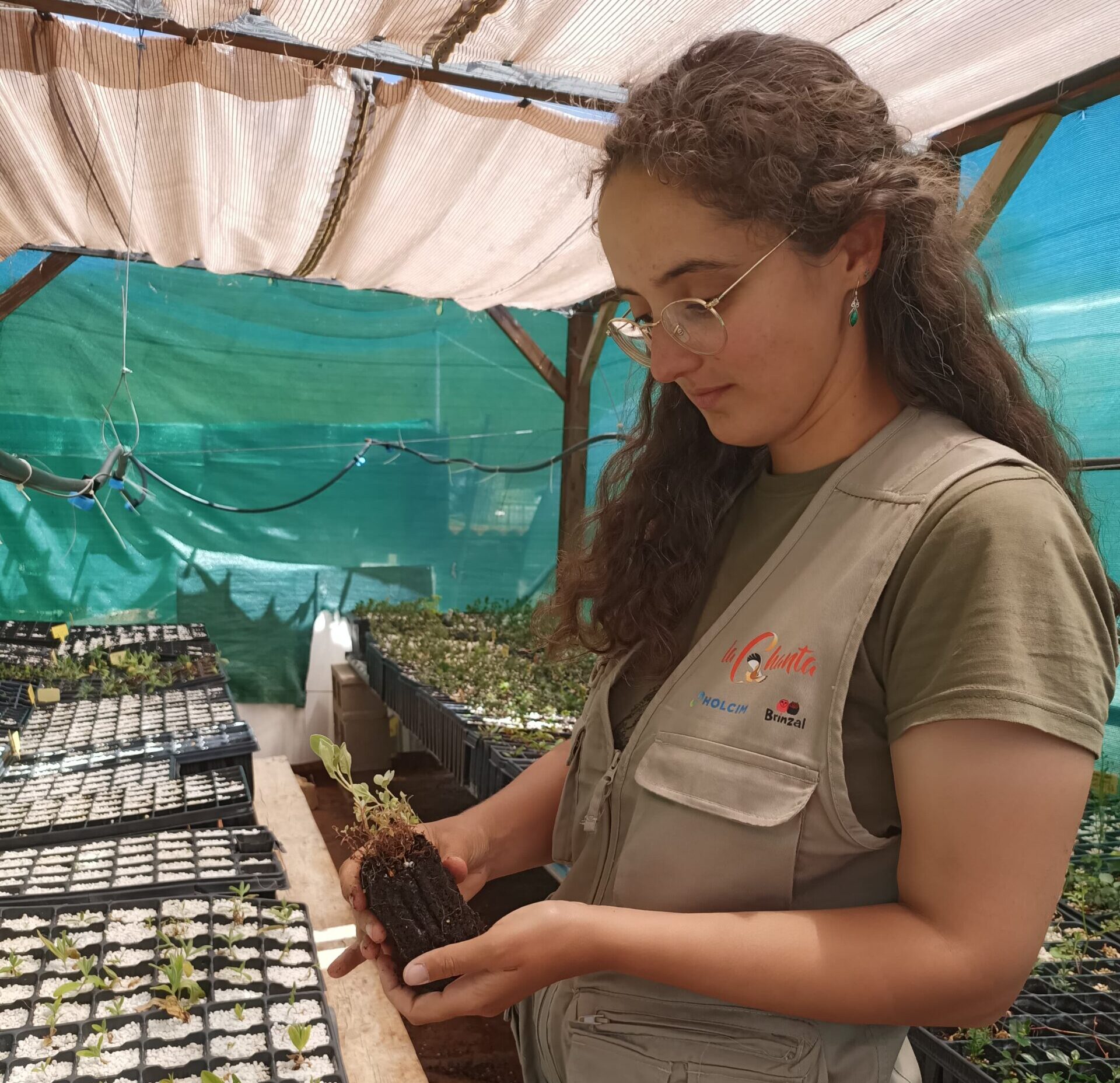 Imagen Finaliza el Proyecto Restauración de Vegetación 1