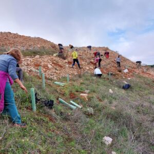 Imagen Finaliza el Proyecto Restauración de Vegetación 3