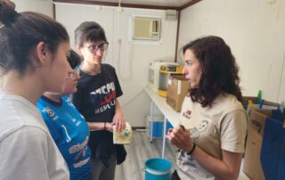 Imagen Programa de formación de Brinzal