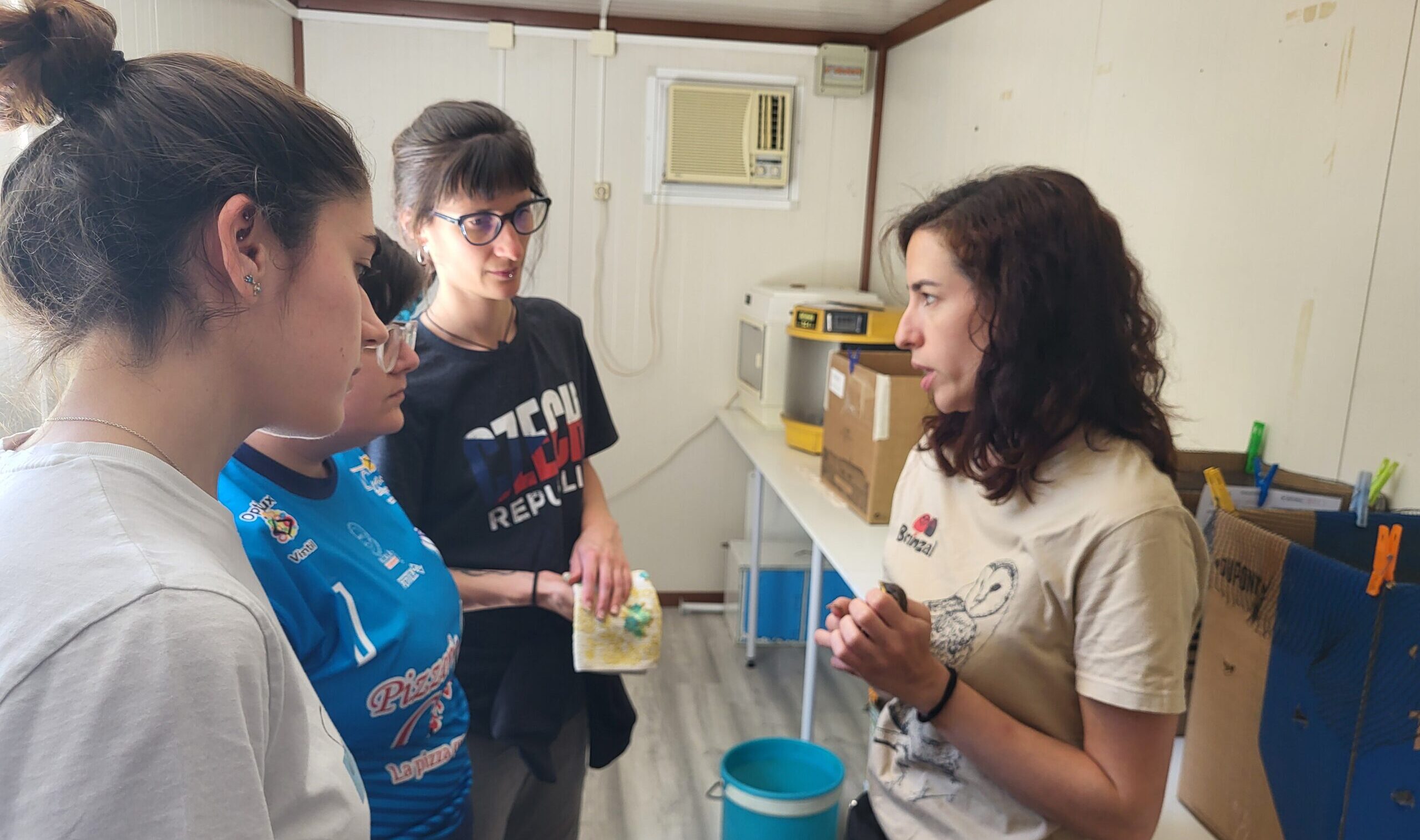 Imagen Programa de formación de Brinzal
