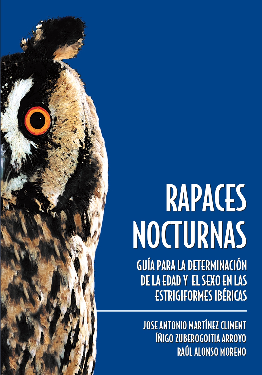 Aves rapaces nocturnas imagen