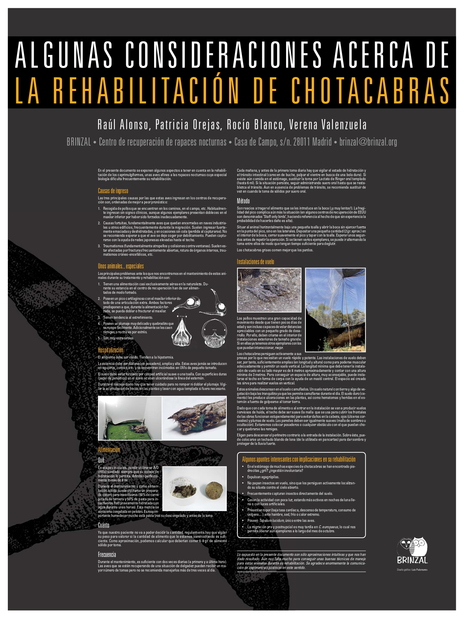 Imagen divulgación Chotacabras