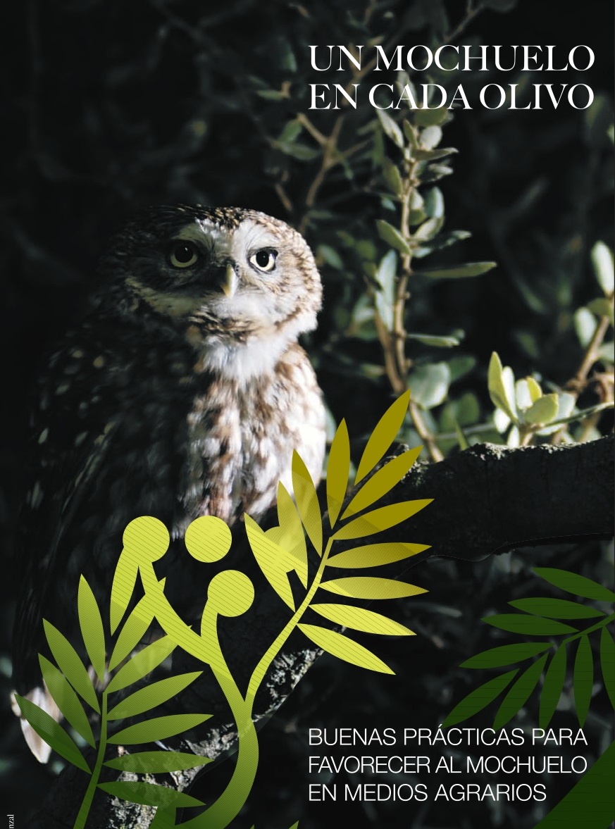 Un Mochuelo en cada Olivo - Portada Divulgación
