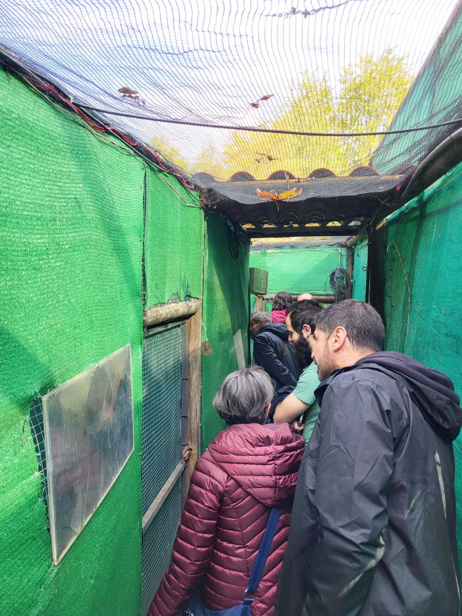 Imagen Visita al centro de recuperación 2025 1