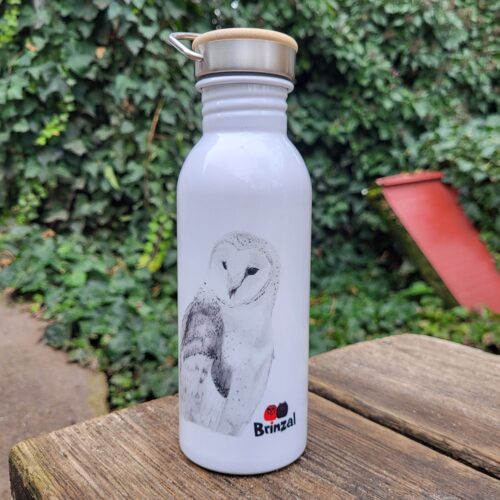 Imagen botella de acero inoxidable