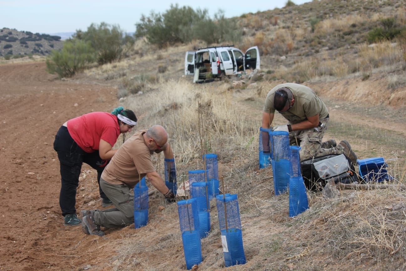 Imagen Día Internacional del no uso de plaguicidas 3