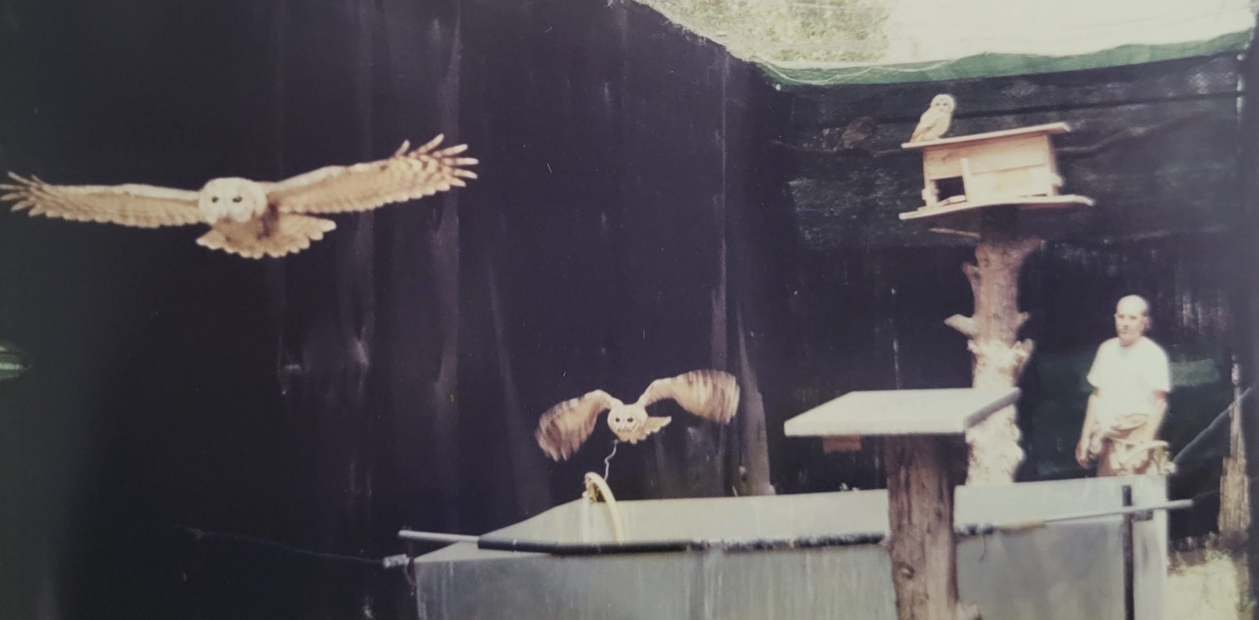 Imagen Brinzal cumple 40 años