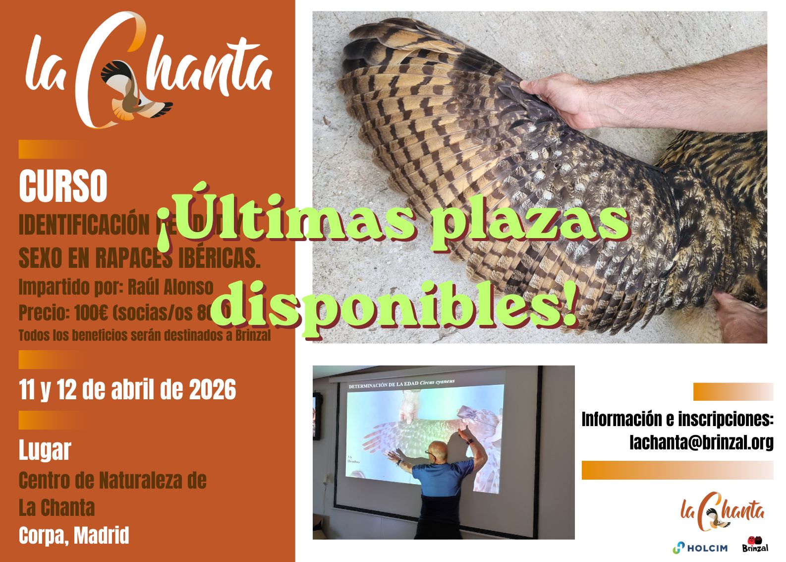 Imagen Últimas plazas: Curso de identificación de edad y sexo en rapaces ibéricas