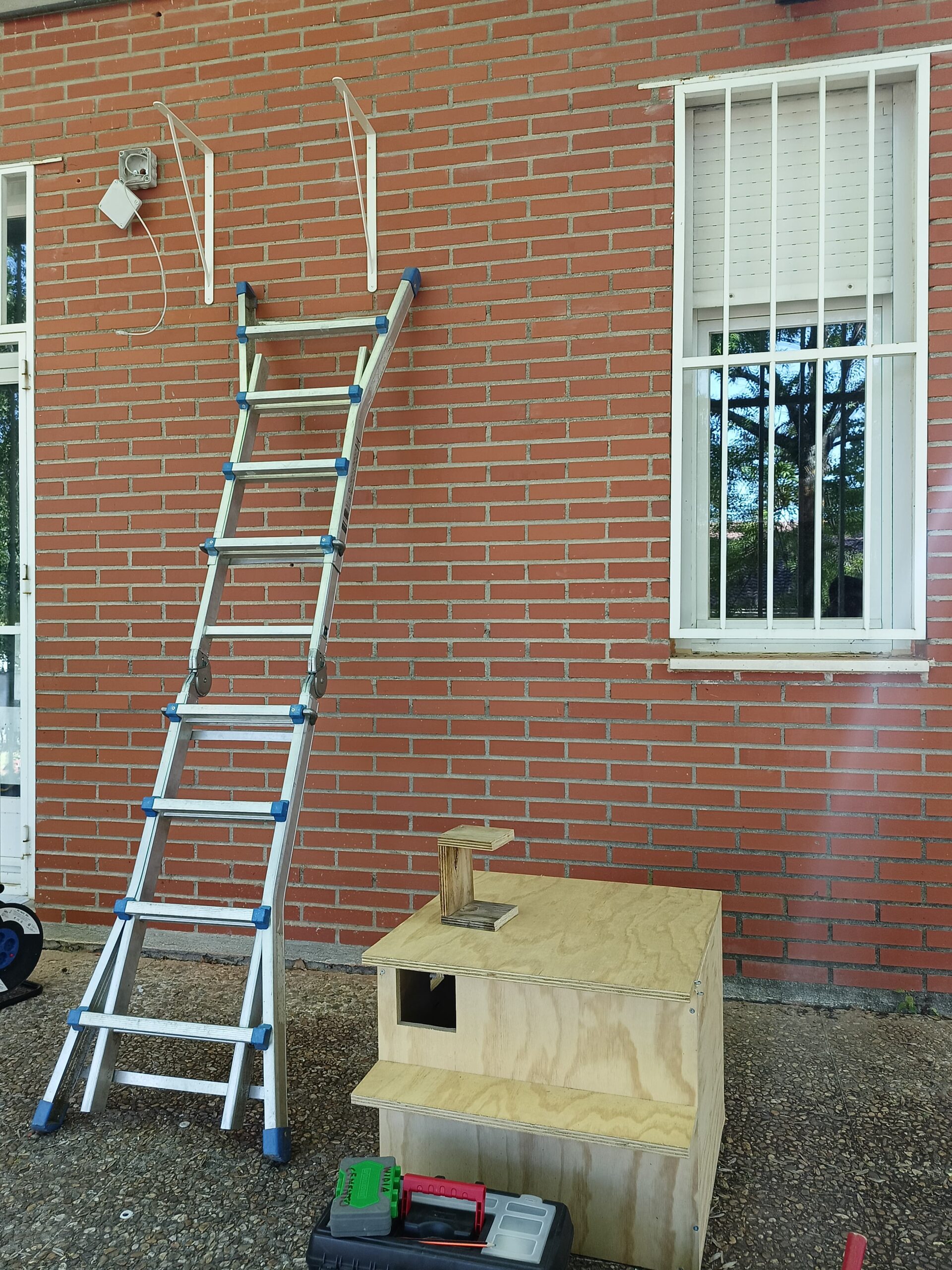 Imagen Primer hacking de lechuza común de 2026 3